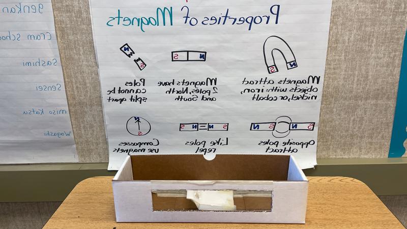 Third-grade STEAM project